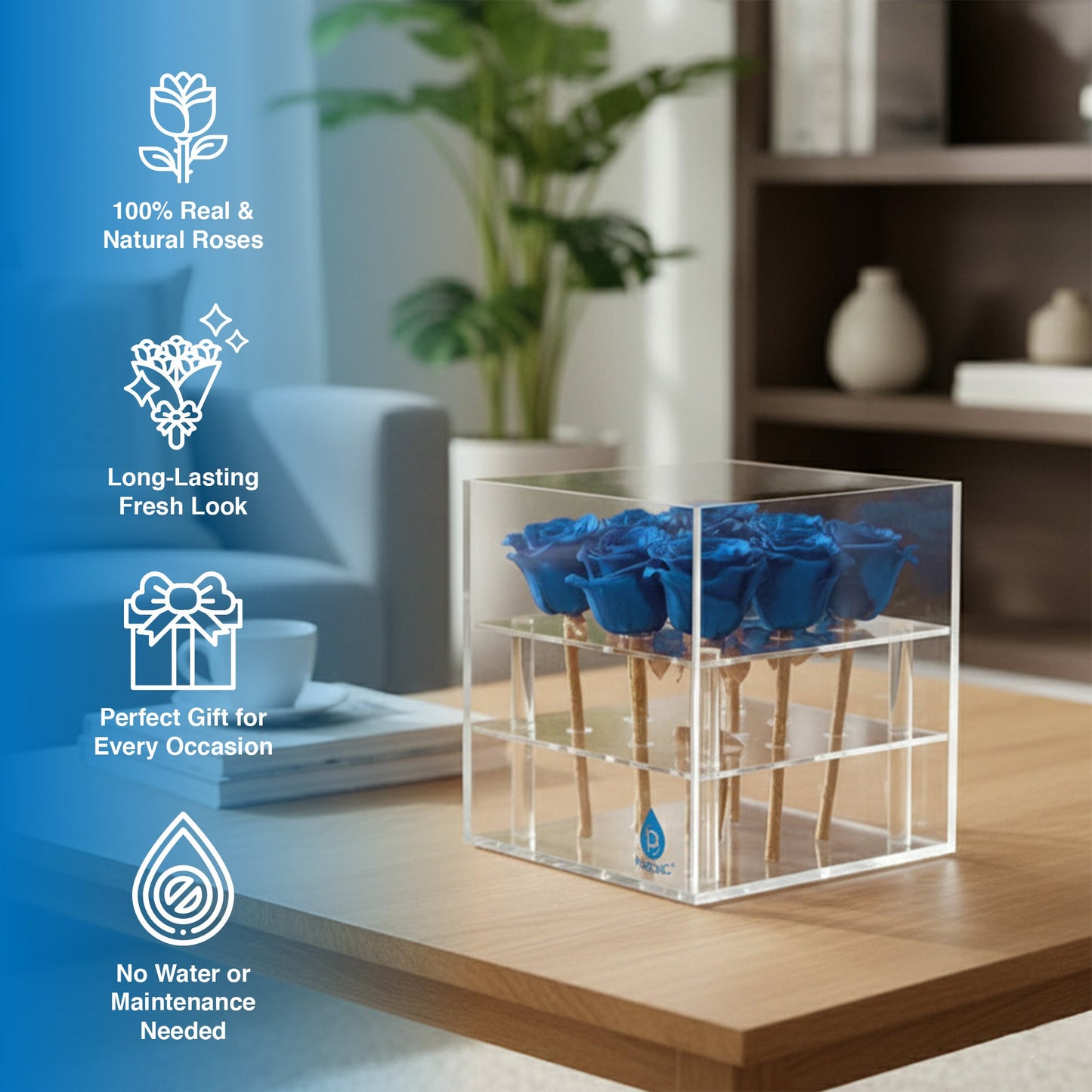 9 Preserved Roses in Acrylic Box: 100% Real Natural Roses That Last Over 1 Year-4