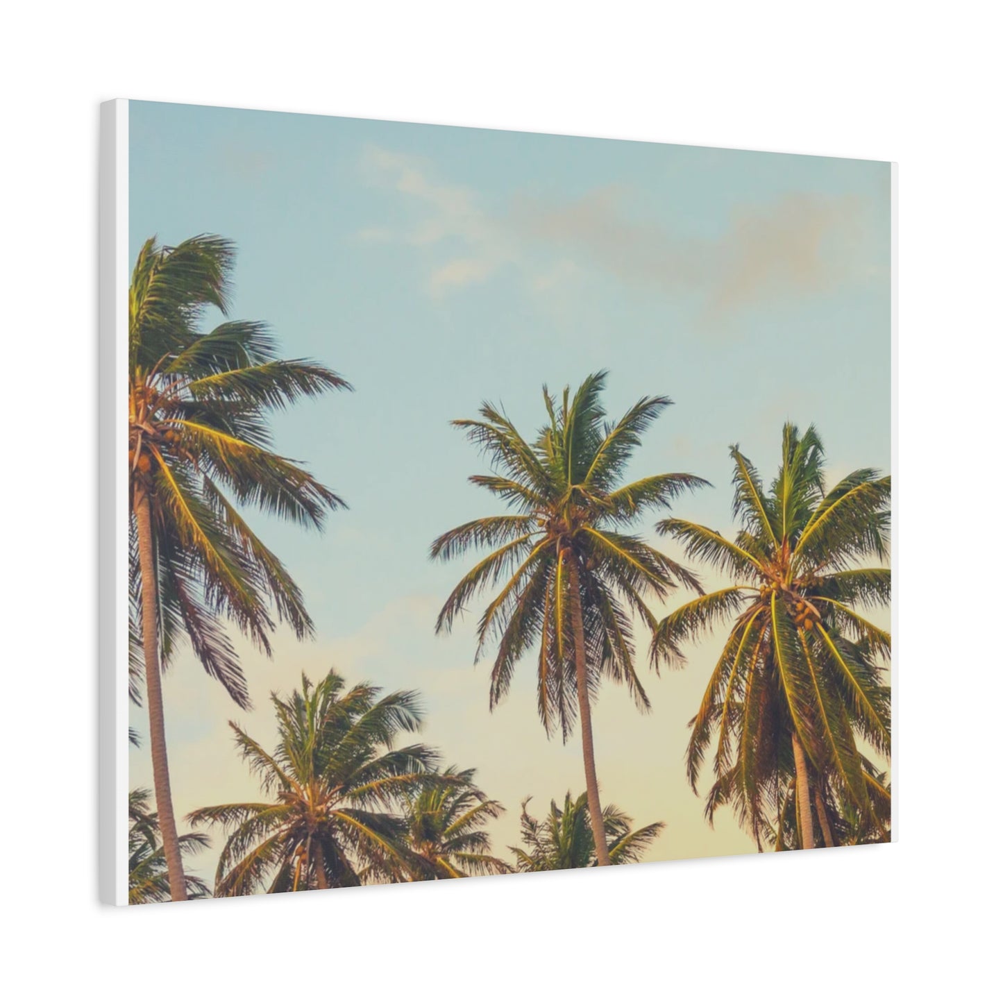 Tropical Palm Tree Canvas Print, City of Angeles Tropical Wall Art, Los Angeles Beach Decor, California Nature Photography, Home Decoration, Gift for Beach Lovers