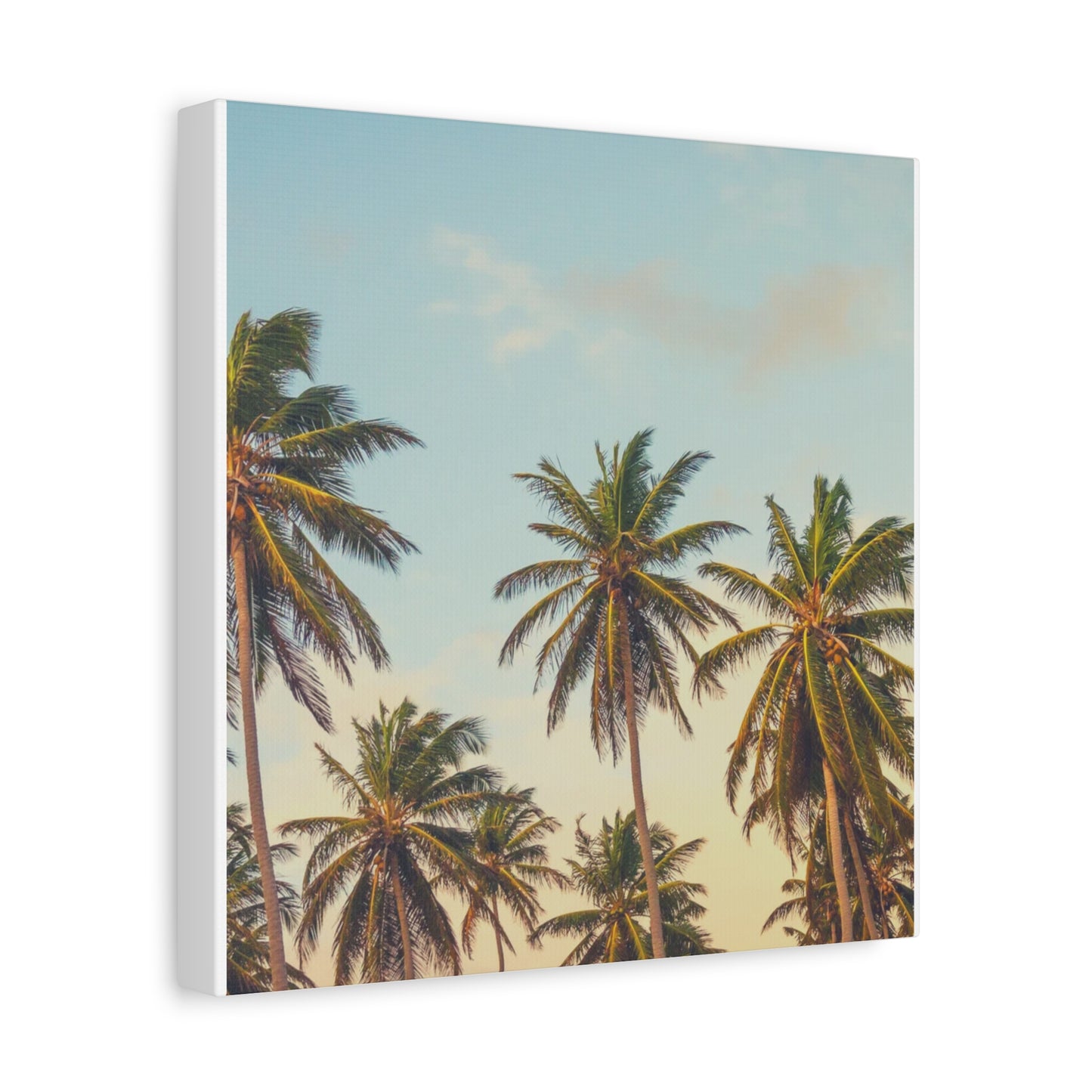 Tropical Palm Tree Canvas Print, City of Angeles Tropical Wall Art, Los Angeles Beach Decor, California Nature Photography, Home Decoration, Gift for Beach Lovers