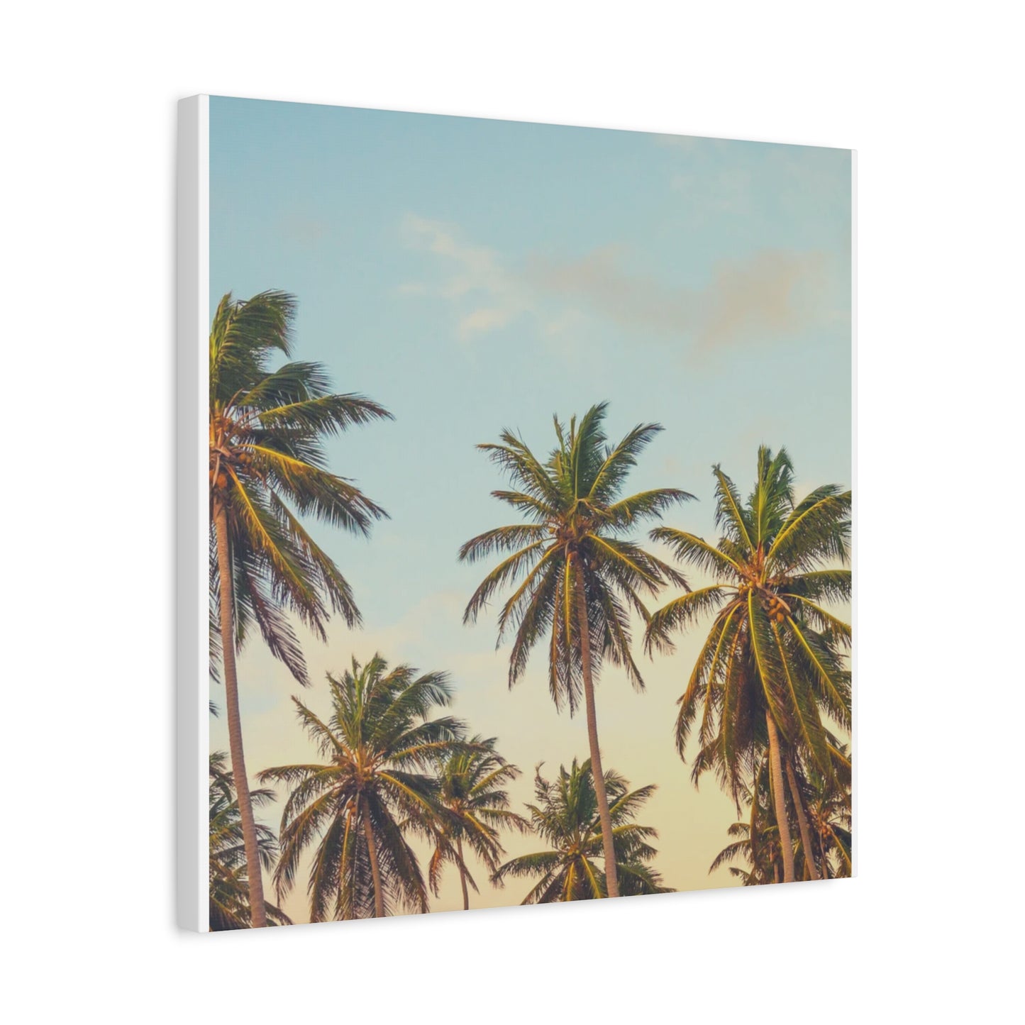 Tropical Palm Tree Canvas Print, City of Angeles Tropical Wall Art, Los Angeles Beach Decor, California Nature Photography, Home Decoration, Gift for Beach Lovers