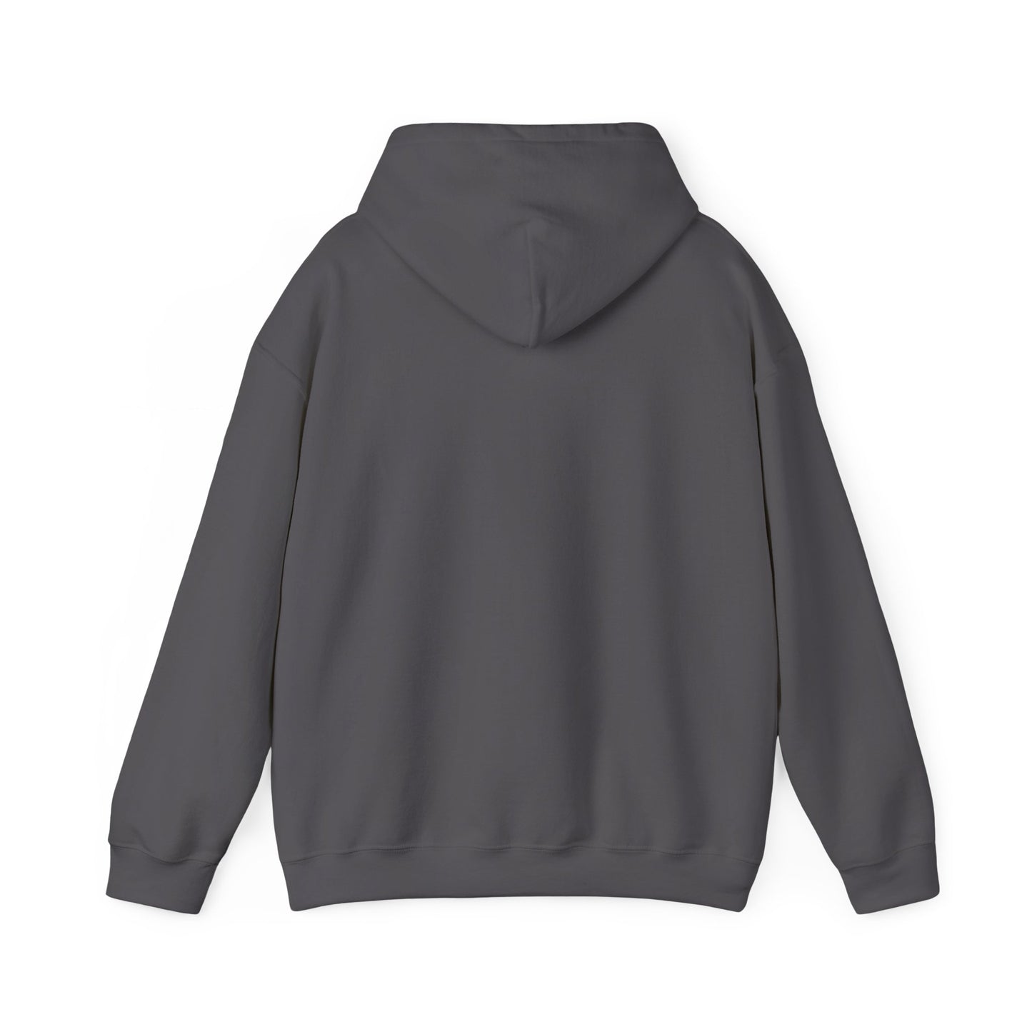 Trust No One Graphic Unisex Hoodie – Casual Streetwear for Everyday Comfort
