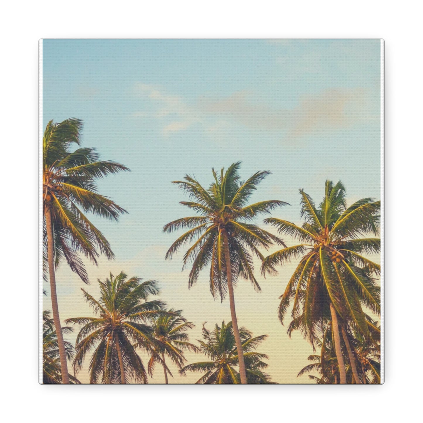 Tropical Palm Tree Canvas Print, City of Angeles Tropical Wall Art, Los Angeles Beach Decor, California Nature Photography, Home Decoration, Gift for Beach Lovers