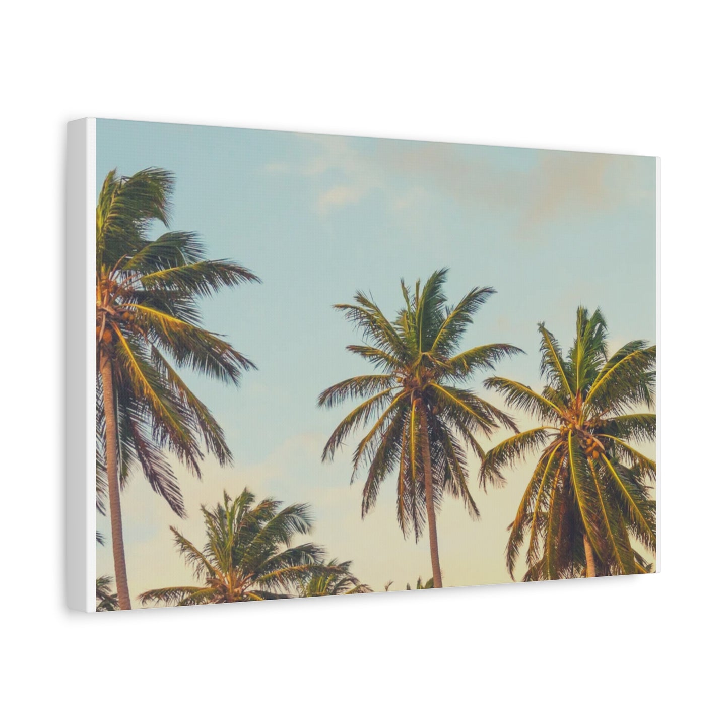 Tropical Palm Tree Canvas Print, City of Angeles Tropical Wall Art, Los Angeles Beach Decor, California Nature Photography, Home Decoration, Gift for Beach Lovers