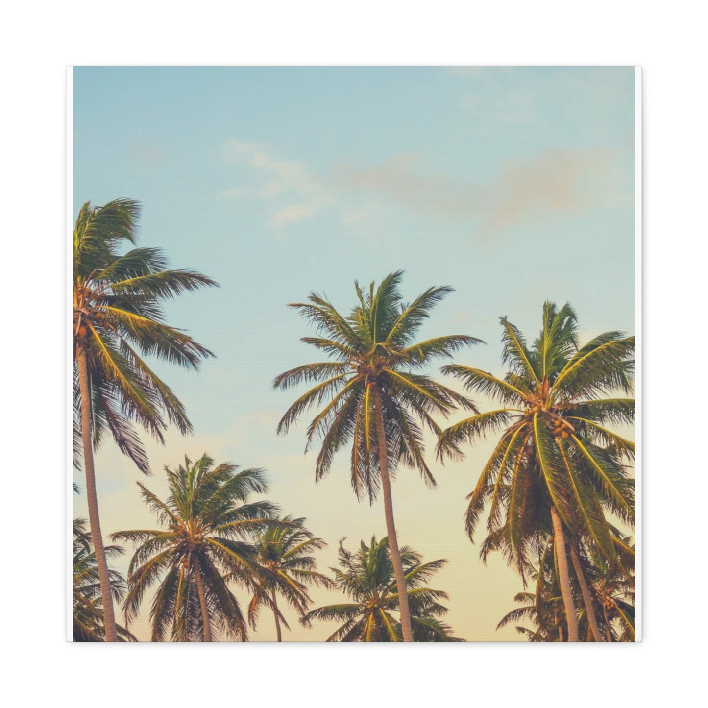 Tropical Palm Tree Canvas Print, City of Angeles Tropical Wall Art, Los Angeles Beach Decor, California Nature Photography, Home Decoration, Gift for Beach Lovers