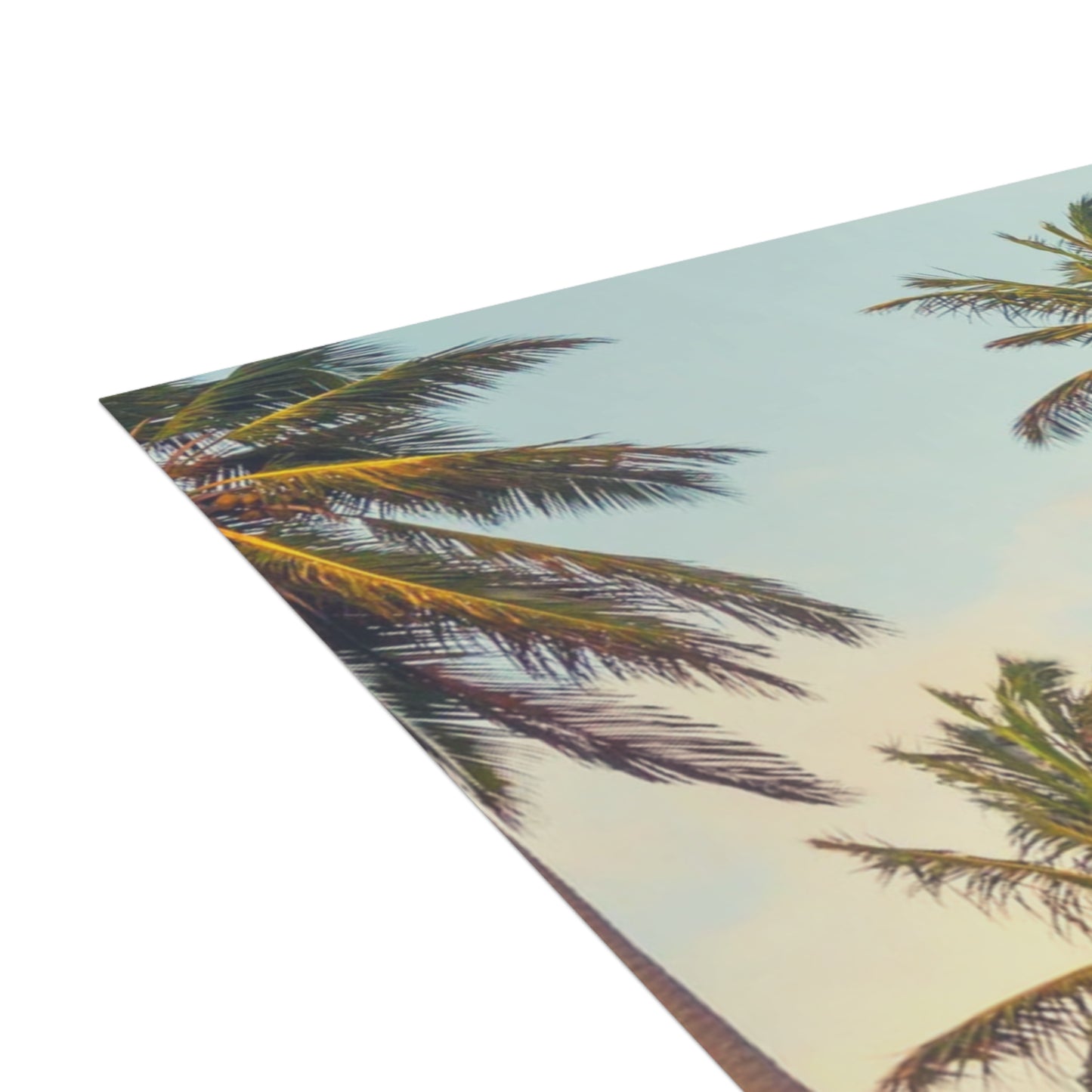 CITY OF ANGELS - Tropical Palm Greeting Cards - Perfect for Summer Celebrations, Birthdays, Thank You Notes, or Just Because!