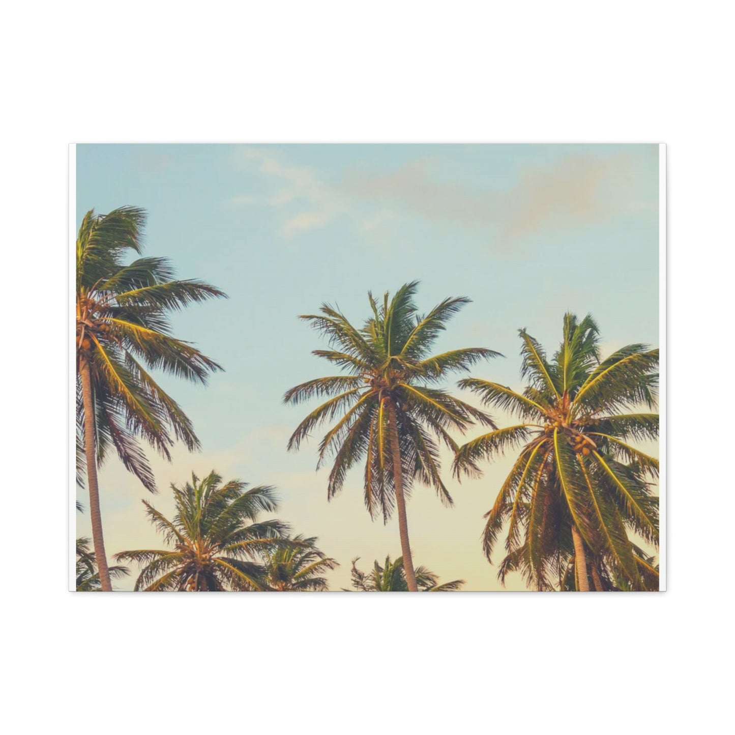Tropical Palm Tree Canvas Print, City of Angeles Tropical Wall Art, Los Angeles Beach Decor, California Nature Photography, Home Decoration, Gift for Beach Lovers