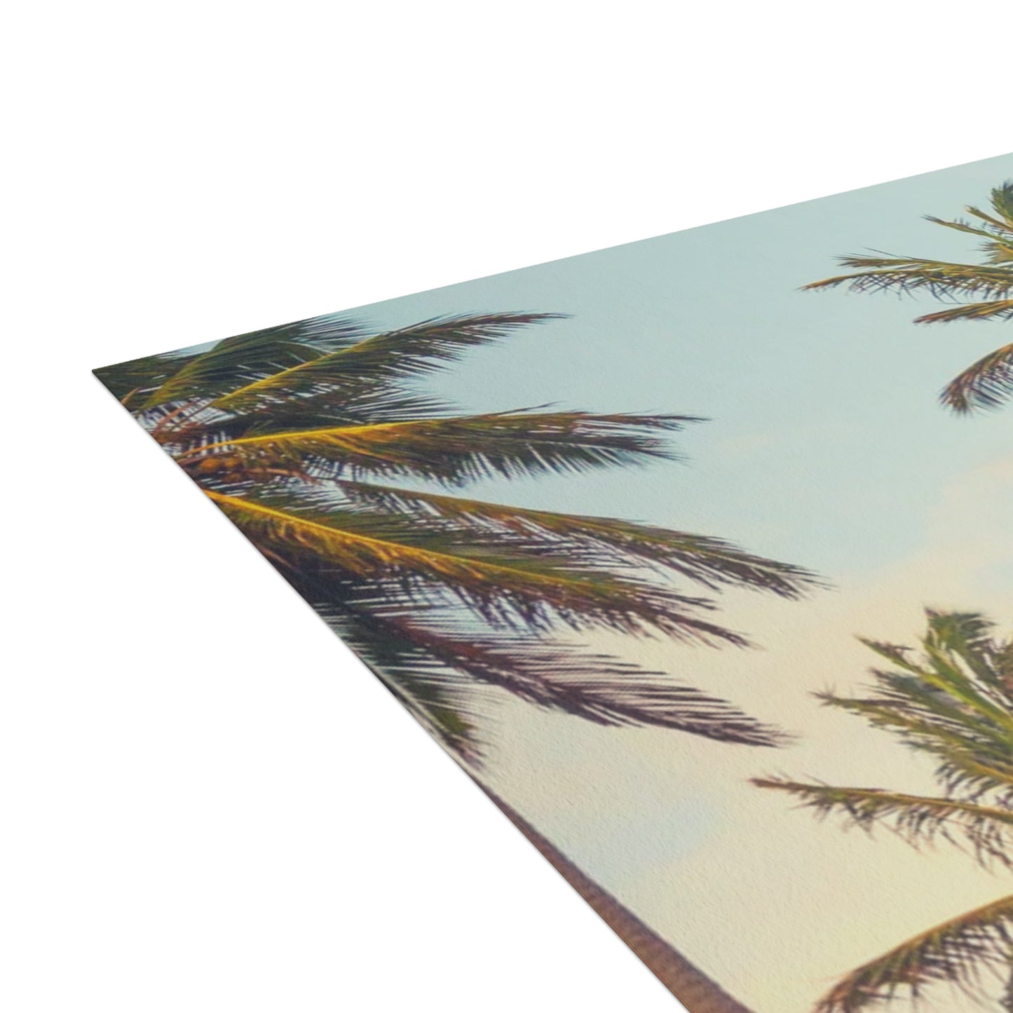 CITY OF ANGELS - Tropical Palm Greeting Cards - Perfect for Summer Celebrations, Birthdays, Thank You Notes, or Just Because!