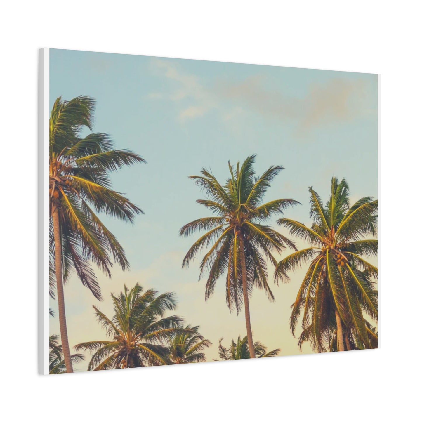 Tropical Palm Tree Canvas Print, City of Angeles Tropical Wall Art, Los Angeles Beach Decor, California Nature Photography, Home Decoration, Gift for Beach Lovers