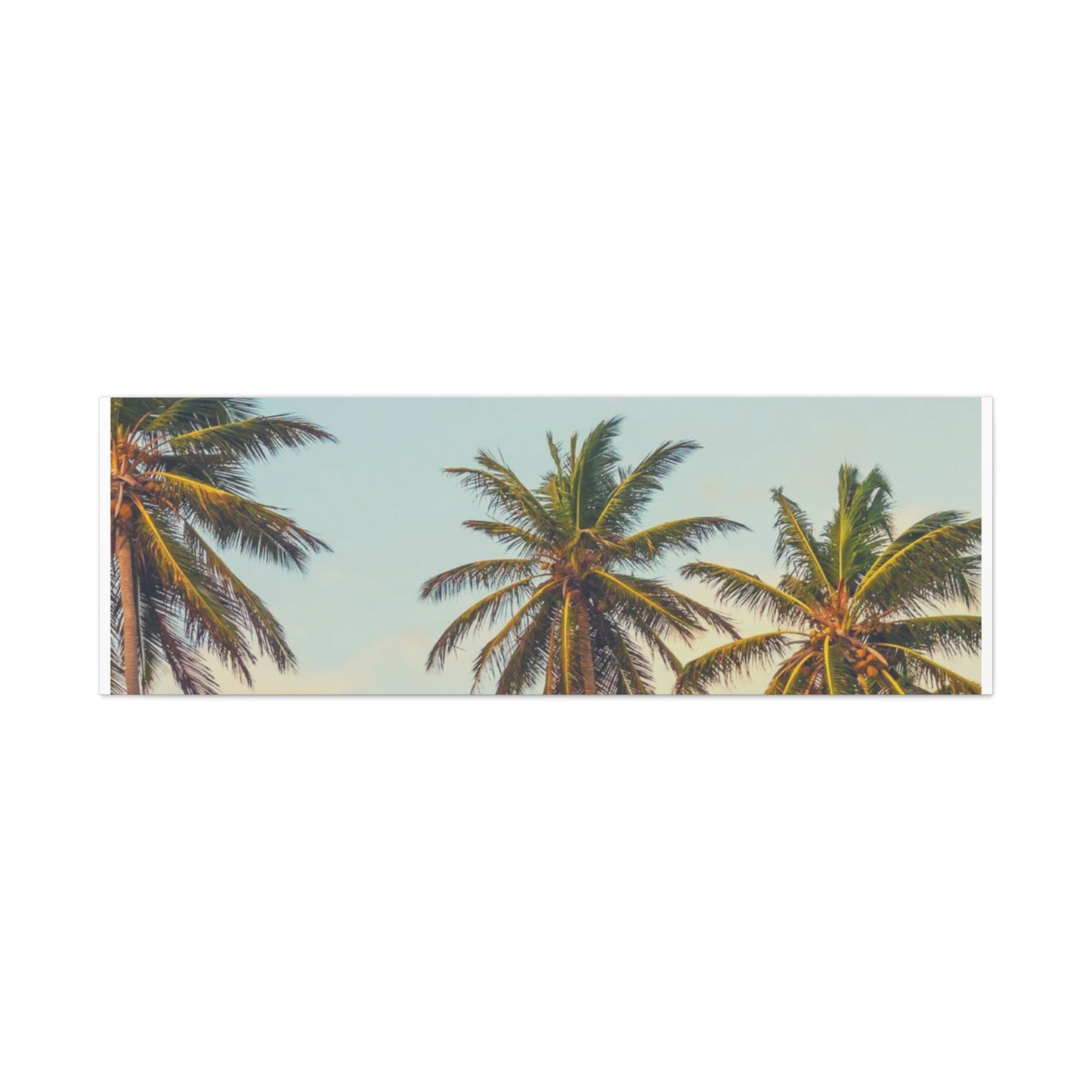 Tropical Palm Tree Canvas Print, City of Angeles Tropical Wall Art, Los Angeles Beach Decor, California Nature Photography, Home Decoration, Gift for Beach Lovers