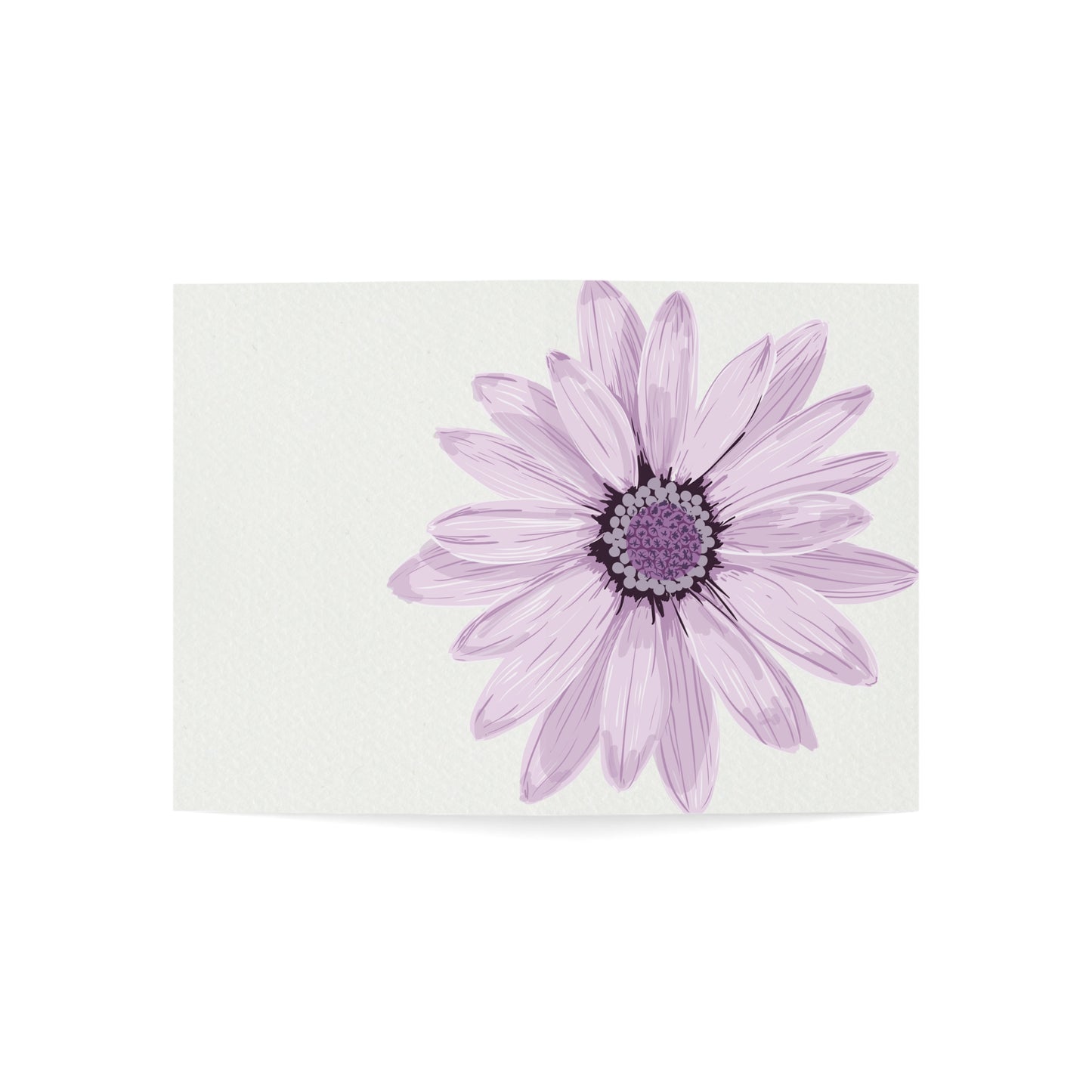 Beautiful Lavender Flower HAPPY BRITHDAY Greeting Cards! (1, 10, 30, and 50pcs)