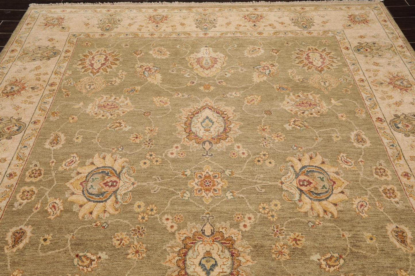 8' x 10'2" Hand Knotted 100% Wool Agra Traditional Oriental Area Rug Pistachio-4