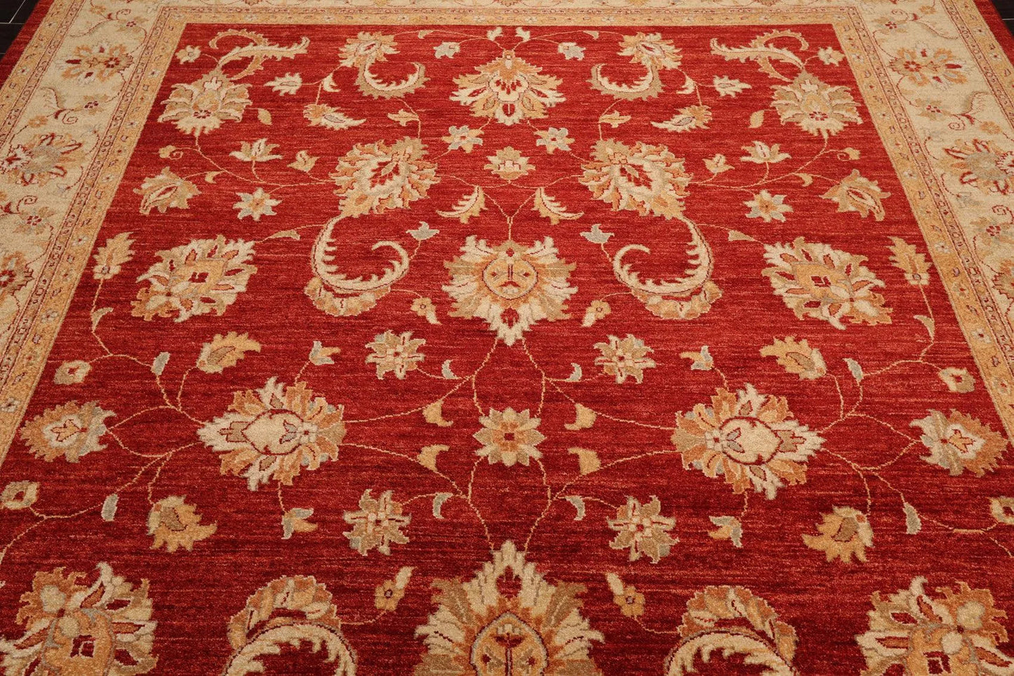 8'10'' x 11'8'' Hand Knotted 100% Wool Peshawar Oriental Area Rug Orangy Red-4