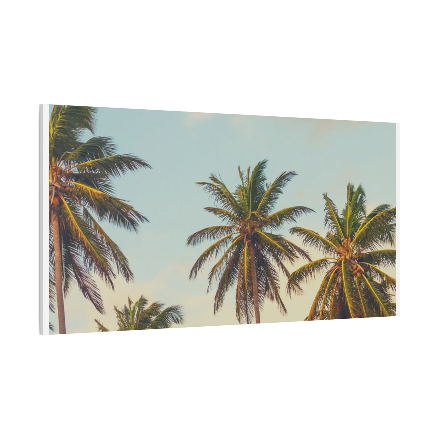 Tropical Palm Tree Canvas Print, City of Angeles Tropical Wall Art, Los Angeles Beach Decor, California Nature Photography, Home Decoration, Gift for Beach Lovers