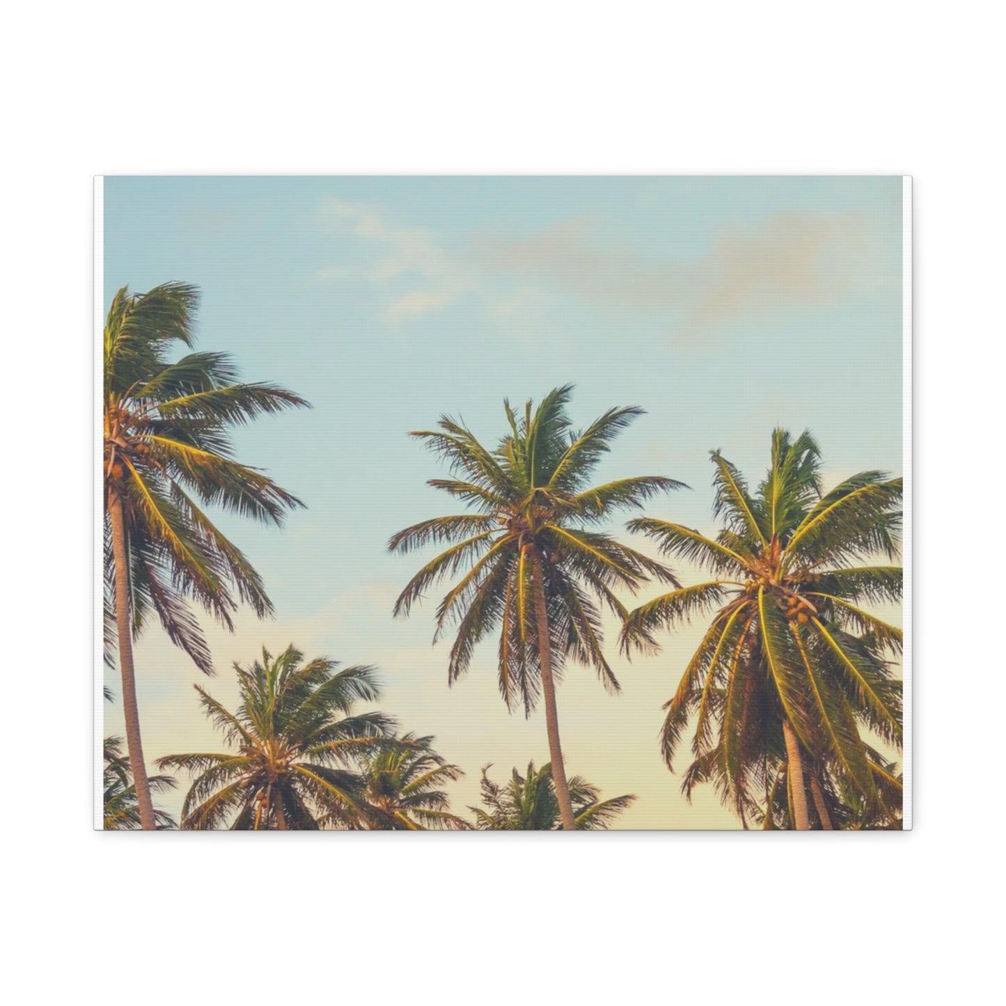 Tropical Palm Tree Canvas Print, City of Angeles Tropical Wall Art, Los Angeles Beach Decor, California Nature Photography, Home Decoration, Gift for Beach Lovers