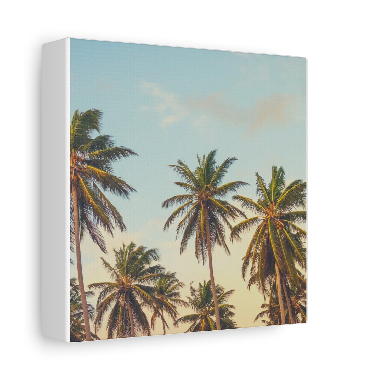 Tropical Palm Tree Canvas Print, City of Angeles Tropical Wall Art, Los Angeles Beach Decor, California Nature Photography, Home Decoration, Gift for Beach Lovers