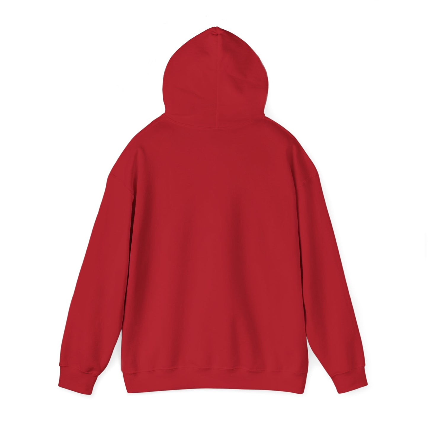 Trust No One Graphic Unisex Hoodie – Casual Streetwear for Everyday Comfort