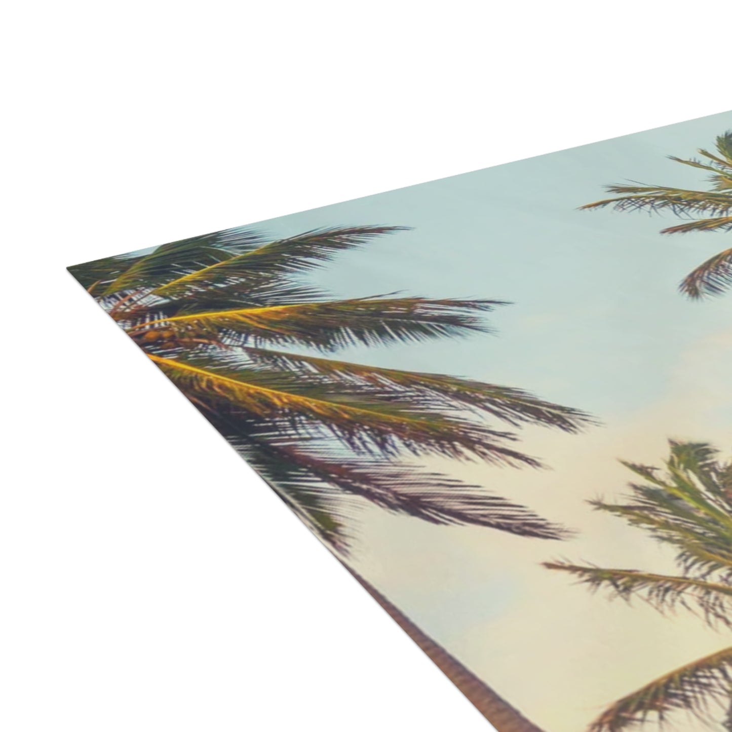 CITY OF ANGELS - Tropical Palm Greeting Cards - Perfect for Summer Celebrations, Birthdays, Thank You Notes, or Just Because!