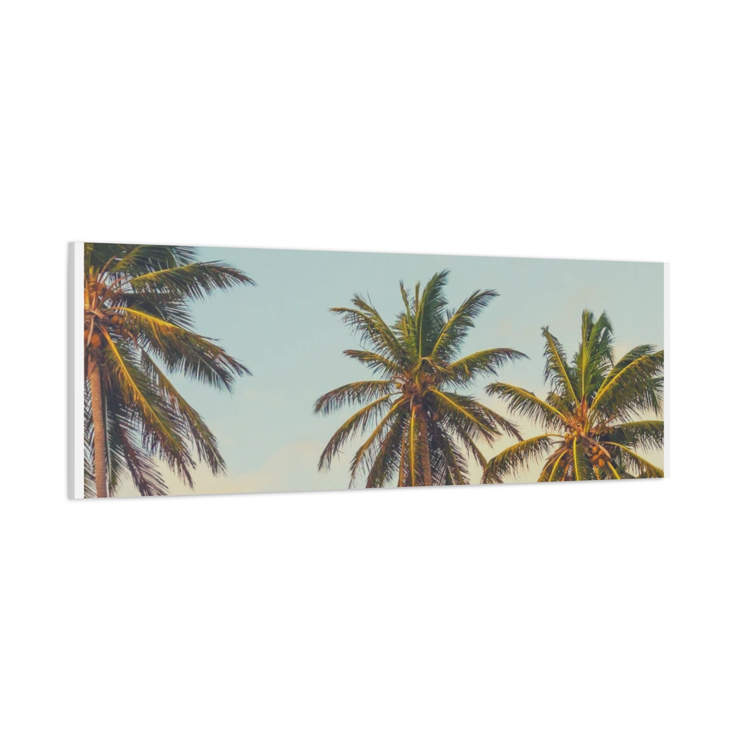 Tropical Palm Tree Canvas Print, City of Angeles Tropical Wall Art, Los Angeles Beach Decor, California Nature Photography, Home Decoration, Gift for Beach Lovers