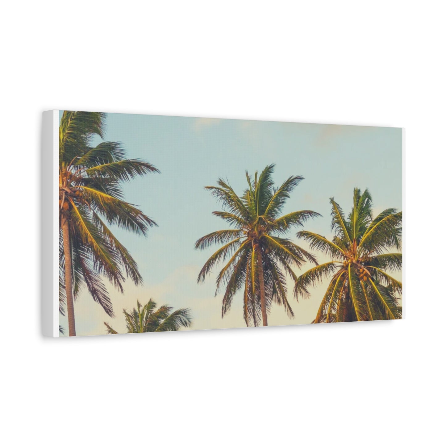 Tropical Palm Tree Canvas Print, City of Angeles Tropical Wall Art, Los Angeles Beach Decor, California Nature Photography, Home Decoration, Gift for Beach Lovers
