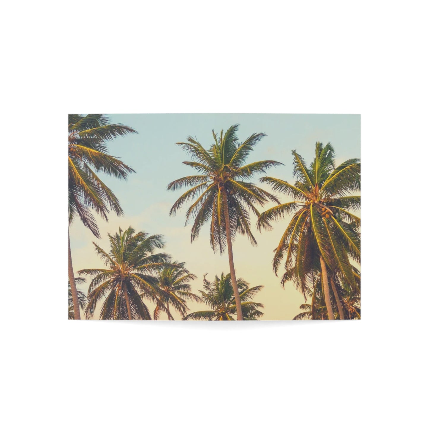 CITY OF ANGELS - Tropical Palm Greeting Cards - Perfect for Summer Celebrations, Birthdays, Thank You Notes, or Just Because!