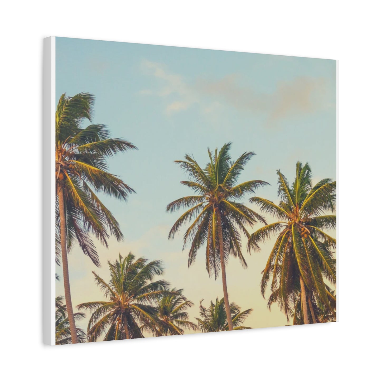 Tropical Palm Tree Canvas Print, City of Angeles Tropical Wall Art, Los Angeles Beach Decor, California Nature Photography, Home Decoration, Gift for Beach Lovers
