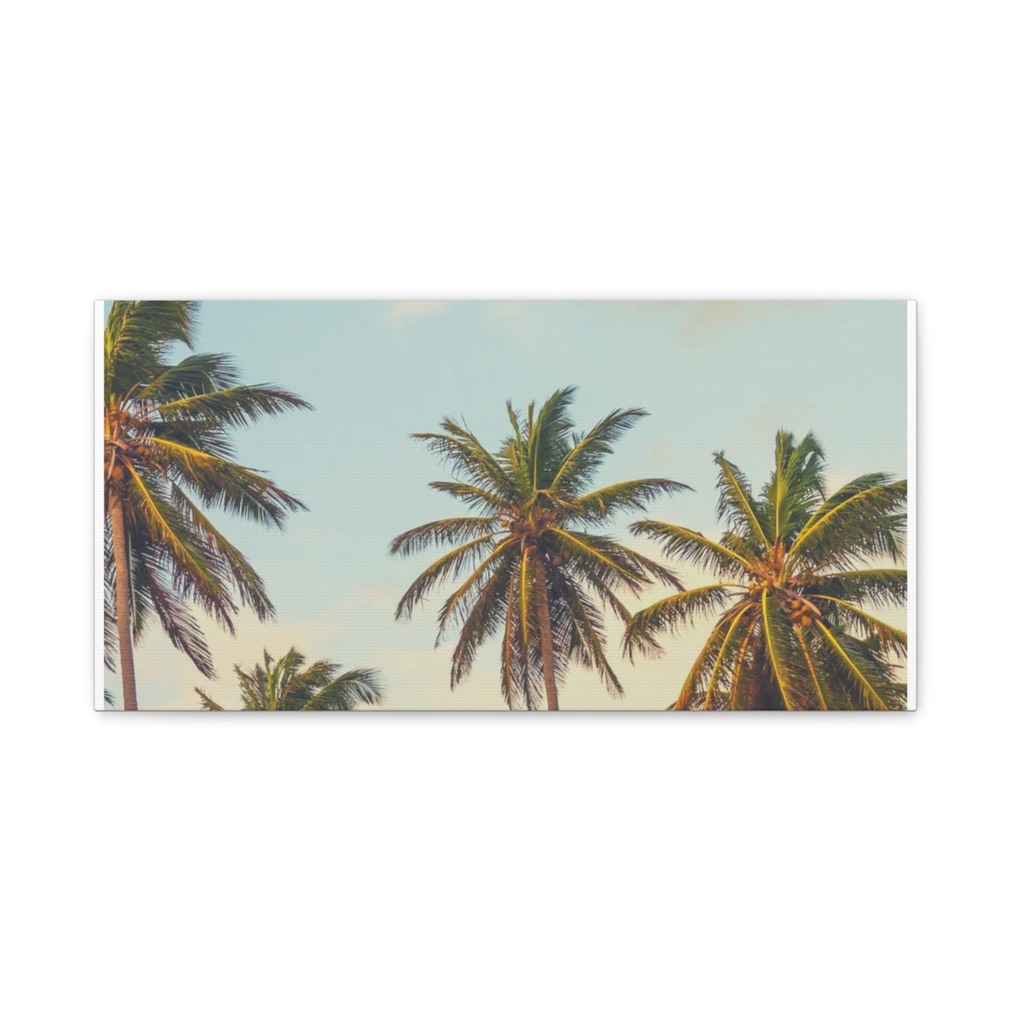 Tropical Palm Tree Canvas Print, City of Angeles Tropical Wall Art, Los Angeles Beach Decor, California Nature Photography, Home Decoration, Gift for Beach Lovers