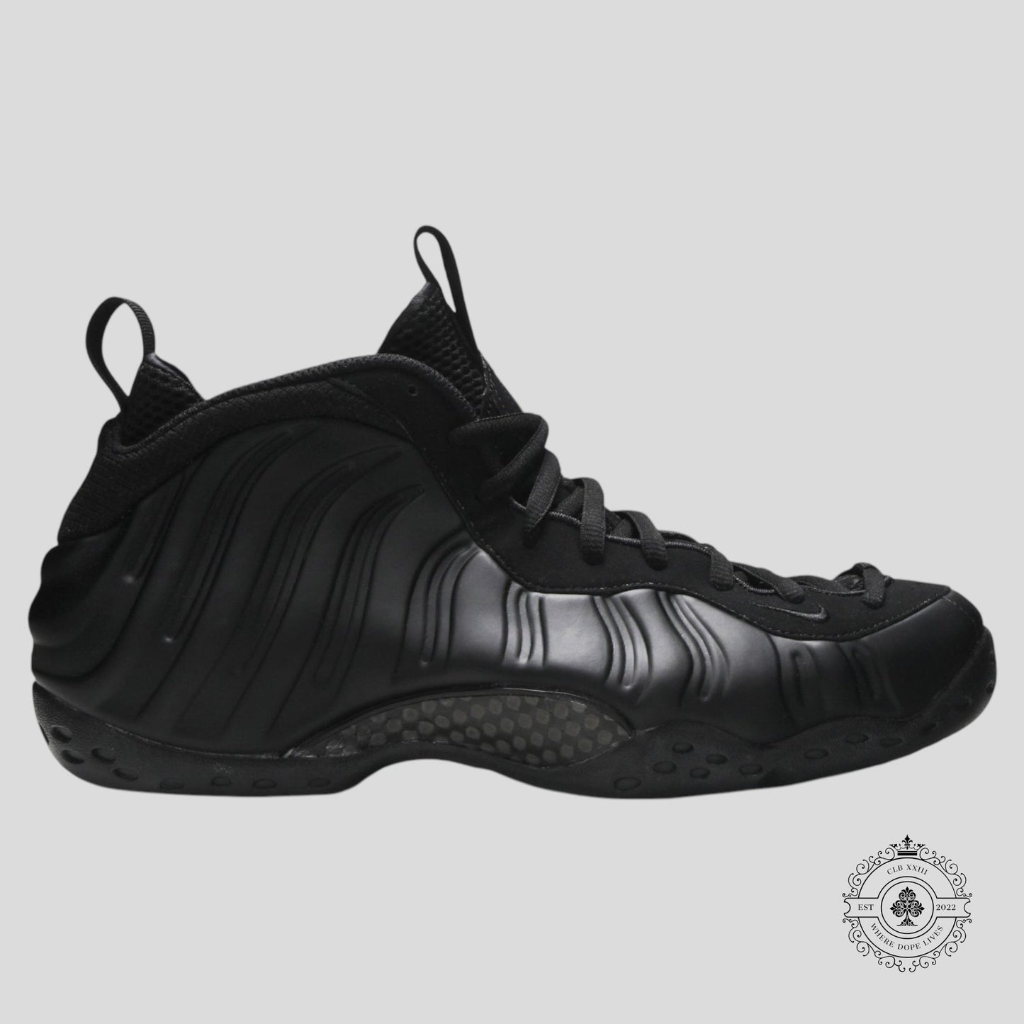 Nike Air Foamposite One Anthracite (2020)