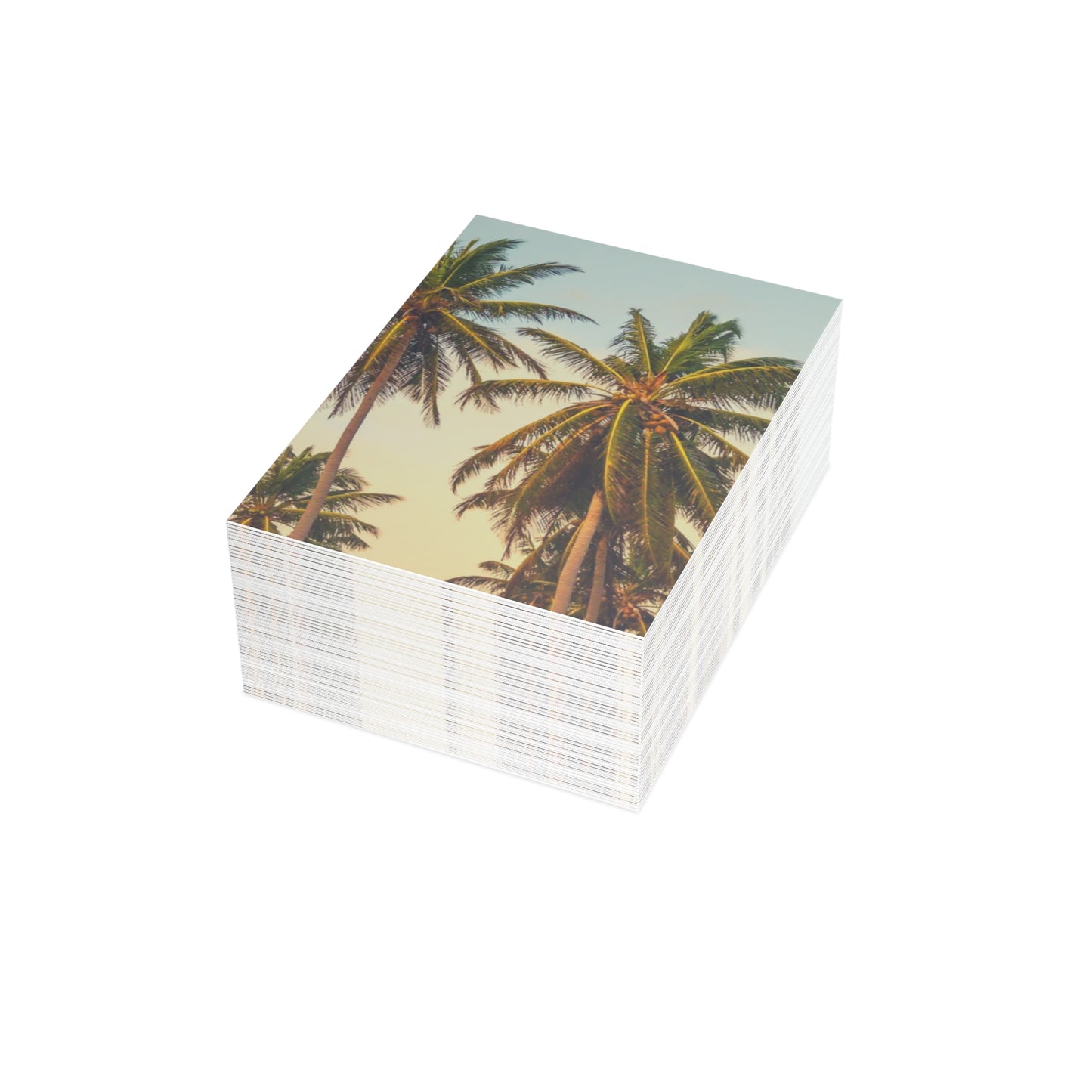 CITY OF ANGELS - Tropical Palm Greeting Cards - Perfect for Summer Celebrations, Birthdays, Thank You Notes, or Just Because!