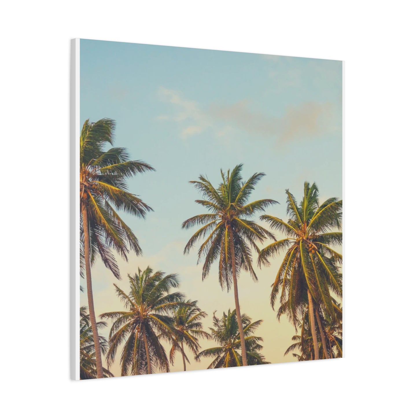 Tropical Palm Tree Canvas Print, City of Angeles Tropical Wall Art, Los Angeles Beach Decor, California Nature Photography, Home Decoration, Gift for Beach Lovers