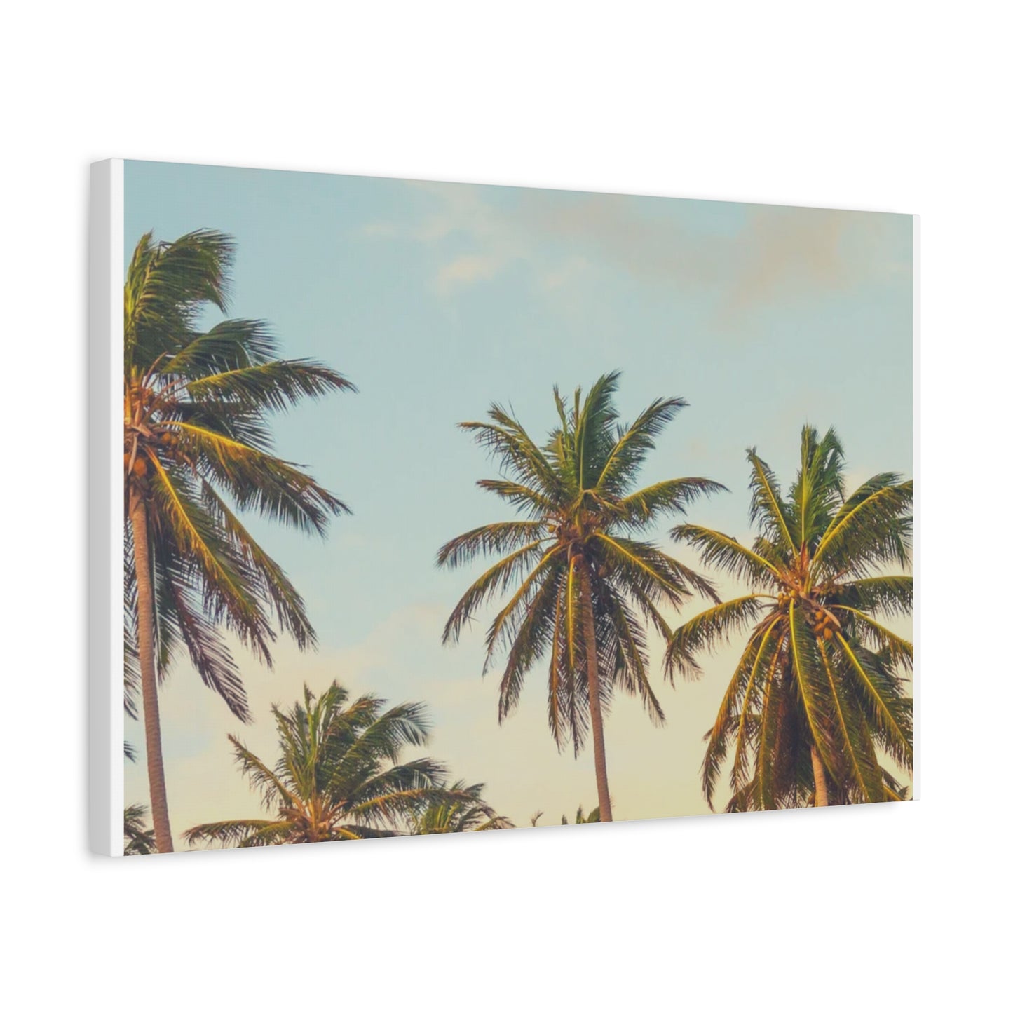 Tropical Palm Tree Canvas Print, City of Angeles Tropical Wall Art, Los Angeles Beach Decor, California Nature Photography, Home Decoration, Gift for Beach Lovers