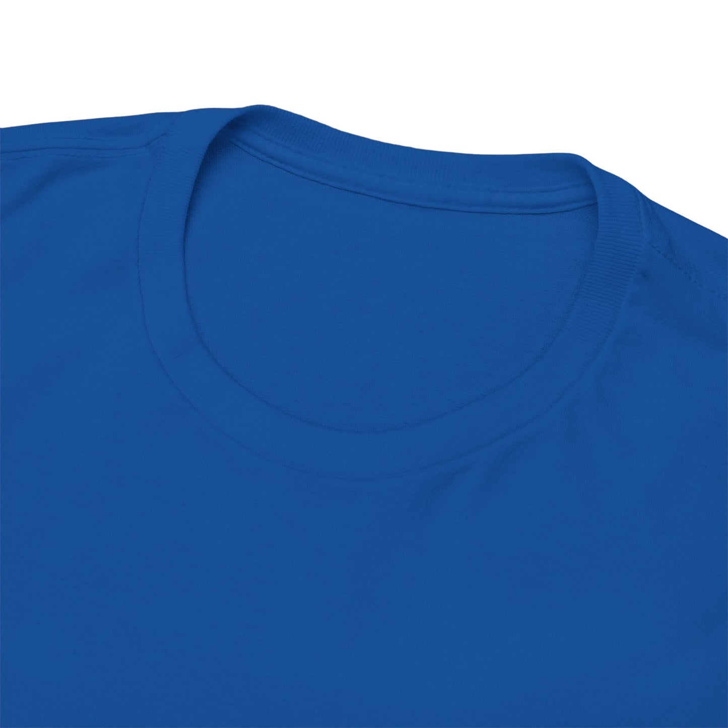 Unisex Heavy Cotton Tee - Embrace the Suck, Casual Tee, Motivational Shirt, Gift for Him/Her, Everyday Wear, Inspirational Apparel