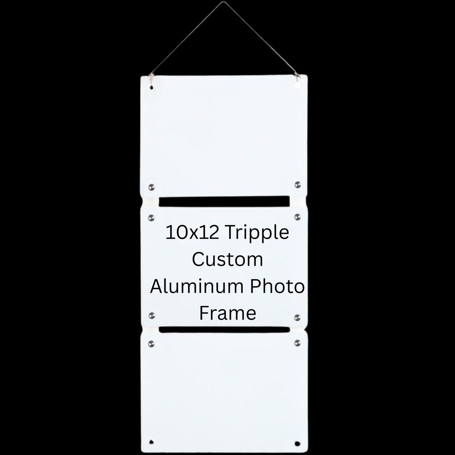LIVE SALE - Triple 10x12 Custom Aluminum Photo Frame for Festival Memories