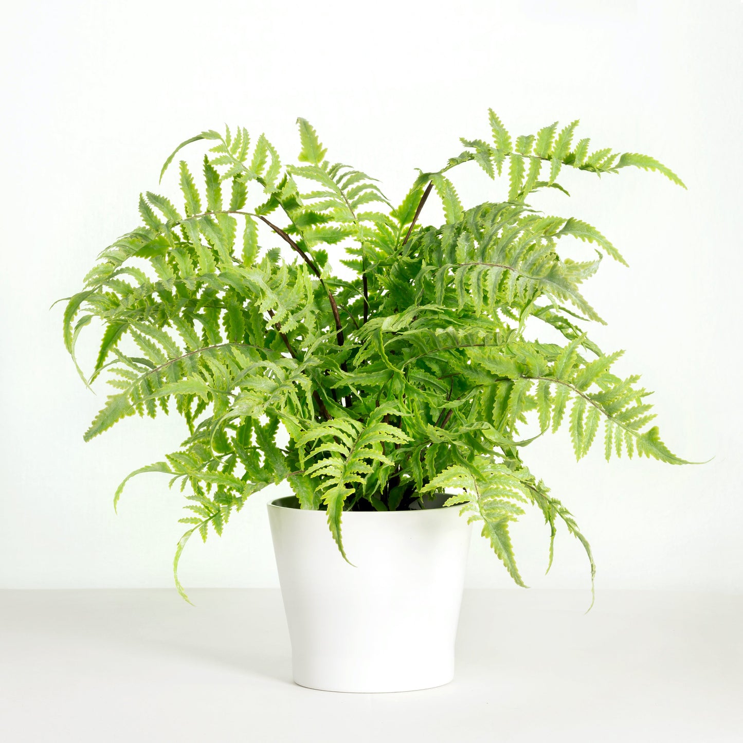 Artificial fern plant in white planter - 18"-1