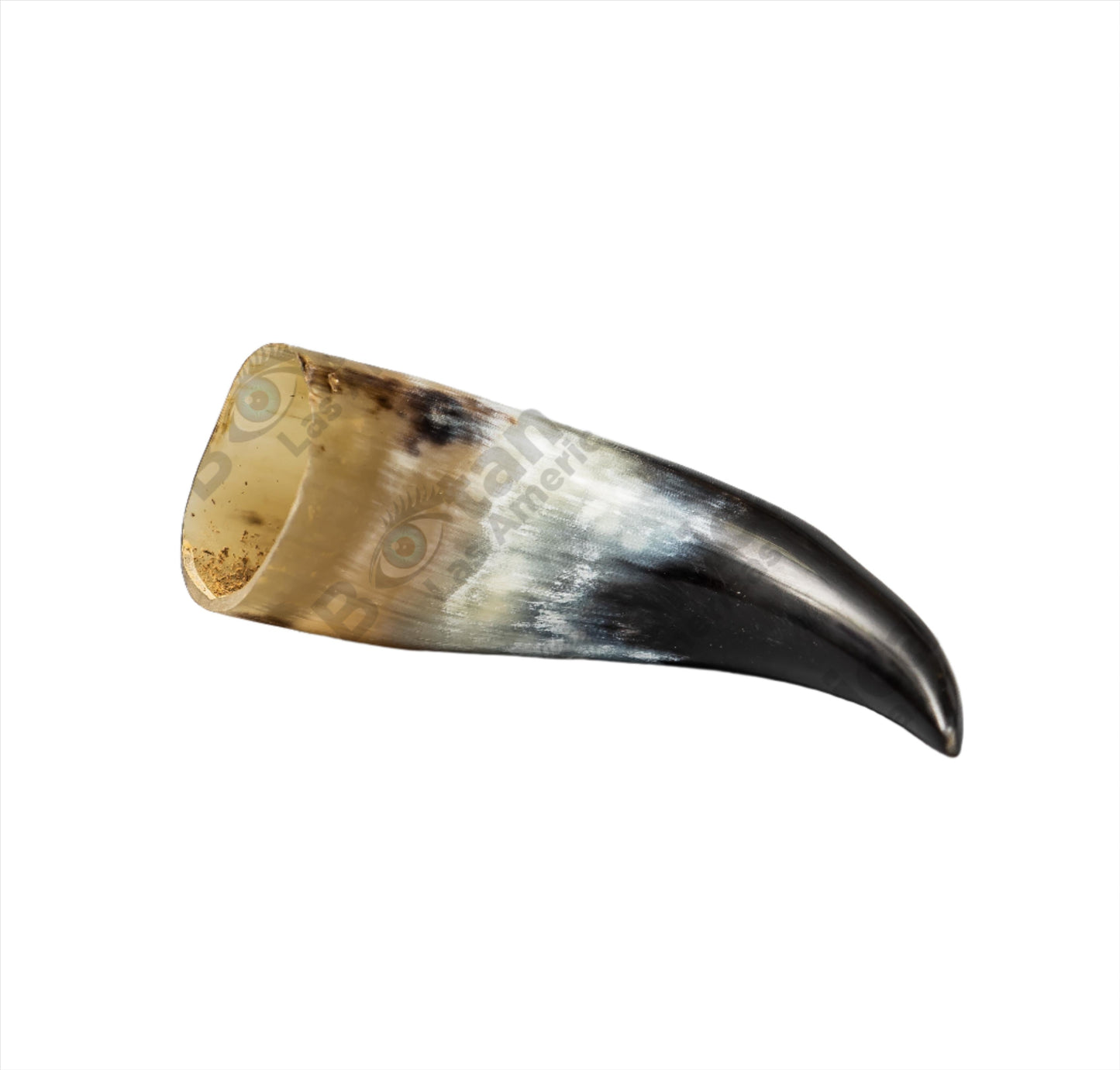 TARRO O CUERNO 6"-8" long