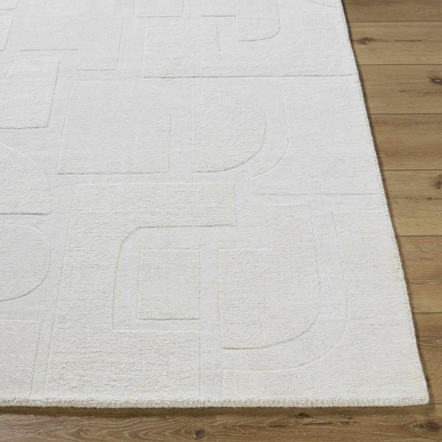Chizue Area Rug-4