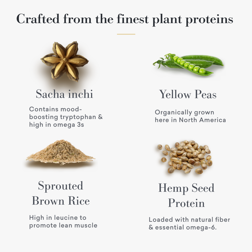 Raw Cacao Protein Blend-4