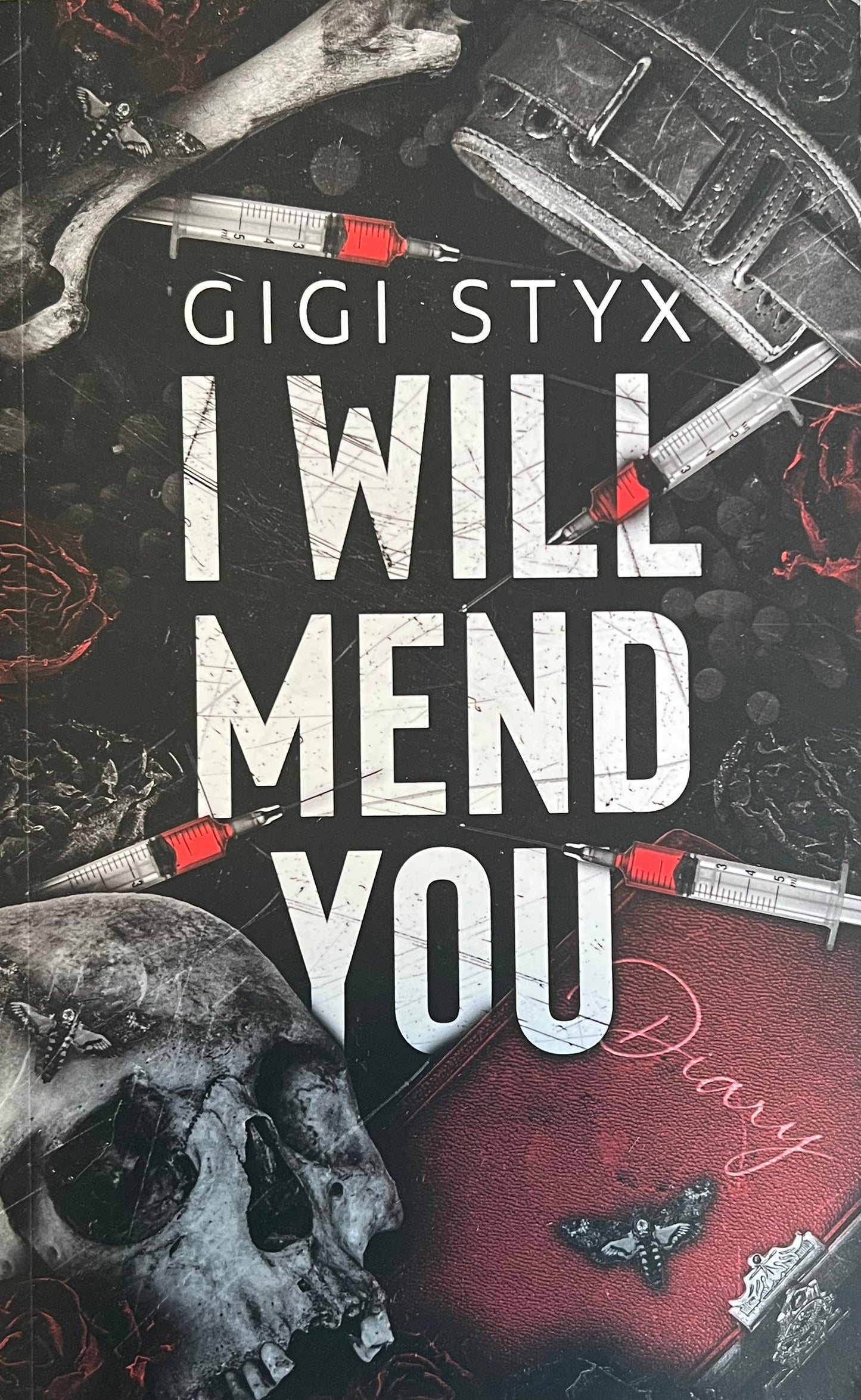I Will Mend You (Pen Pal Duet #2)