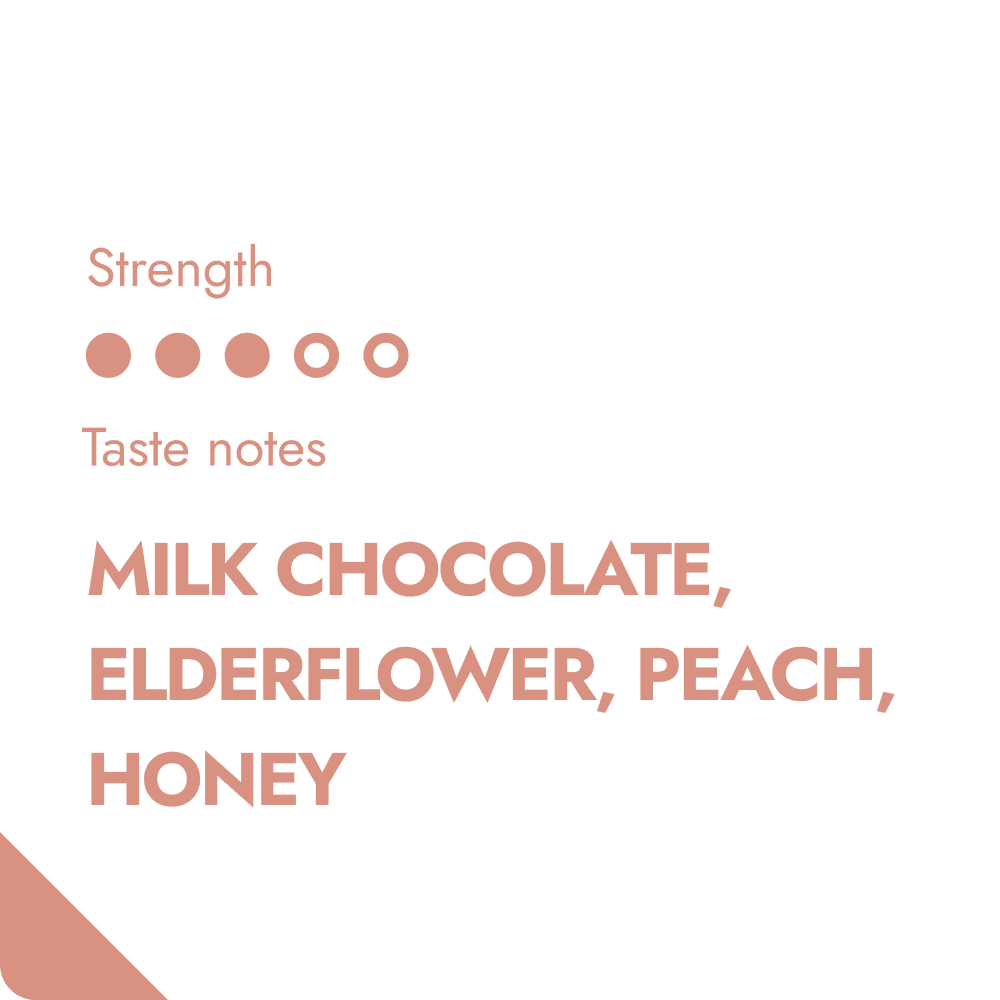 HONDURAS COFFEE BEANS-1
