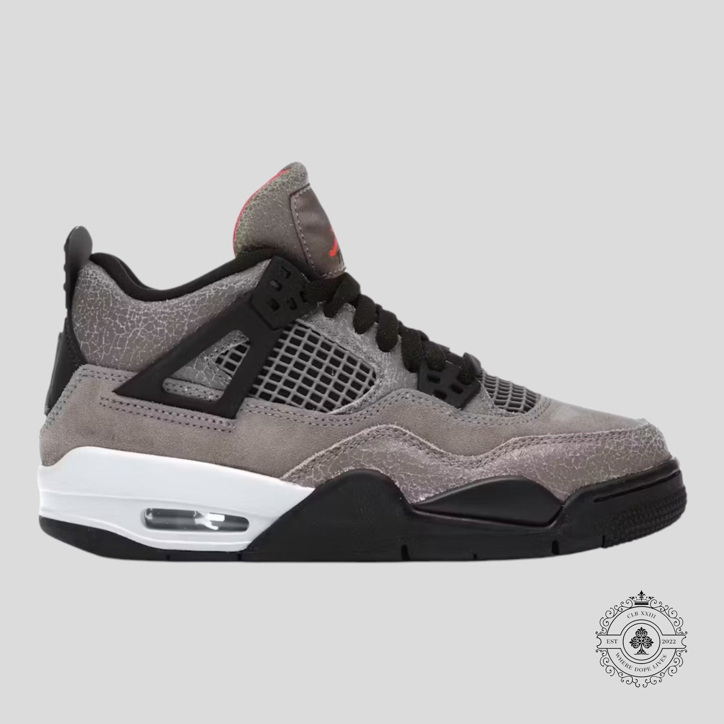 Air Jordan 4 Retro Taupe Haze (GS)