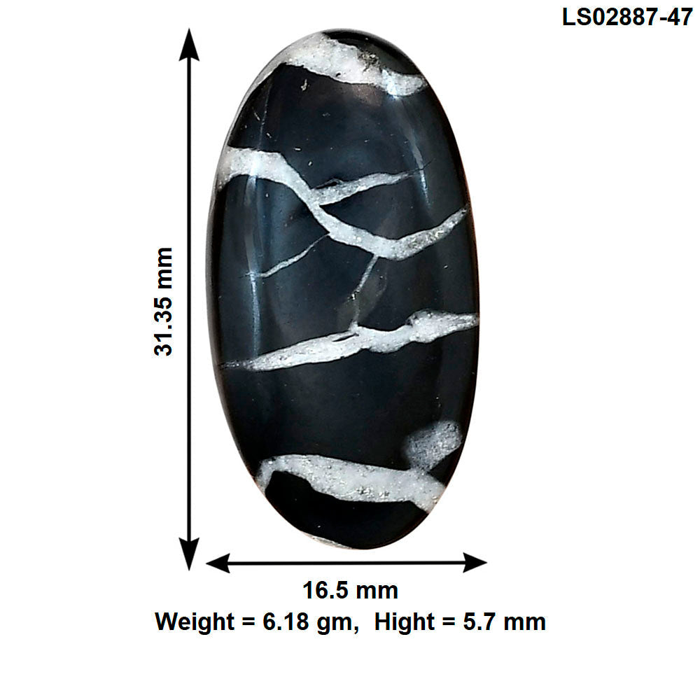 Black Septarian 31.35x16.5x5.7 mm Oval Gemstone LS02887-47-2