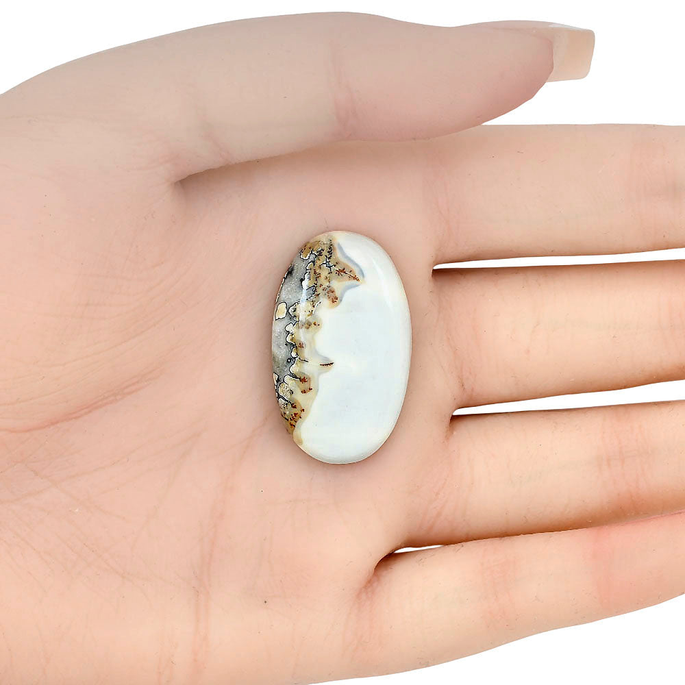 Maligano Jasper 31.1x18.75x5.5 mm Oval Gemstone LS03173-53-1