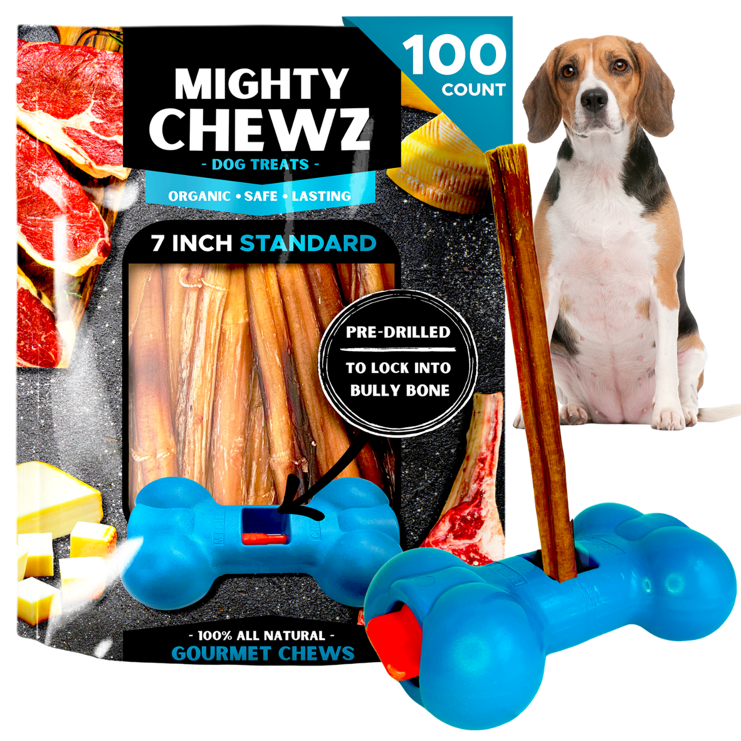 7" Standard Bully Sticks - Bully Bone Included-7