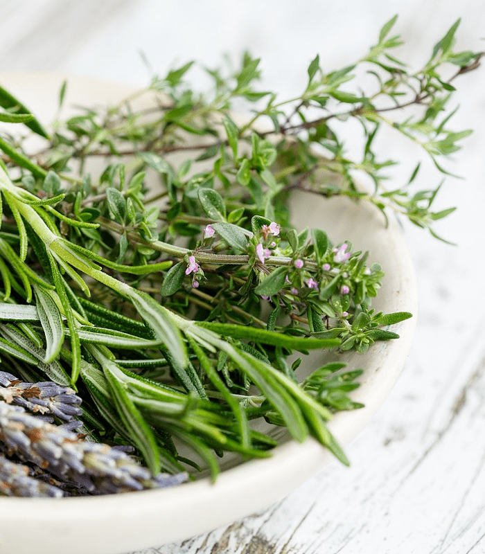 Minted Rosemary (Discontinued - Last Chance)