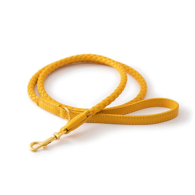 Luxury Braided Leather Dog Collar+Leash Set – Eco-Friendly, Durable, Stylish