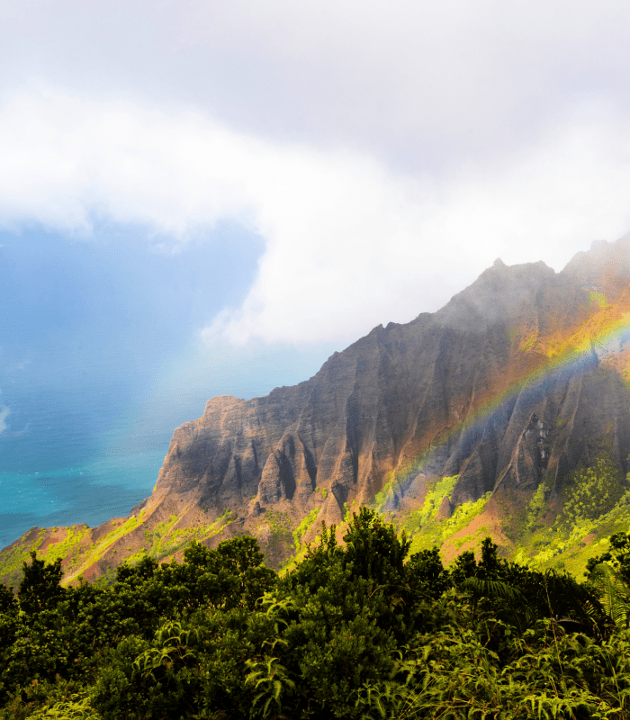 O'ahu - Premium Fragrance Oil