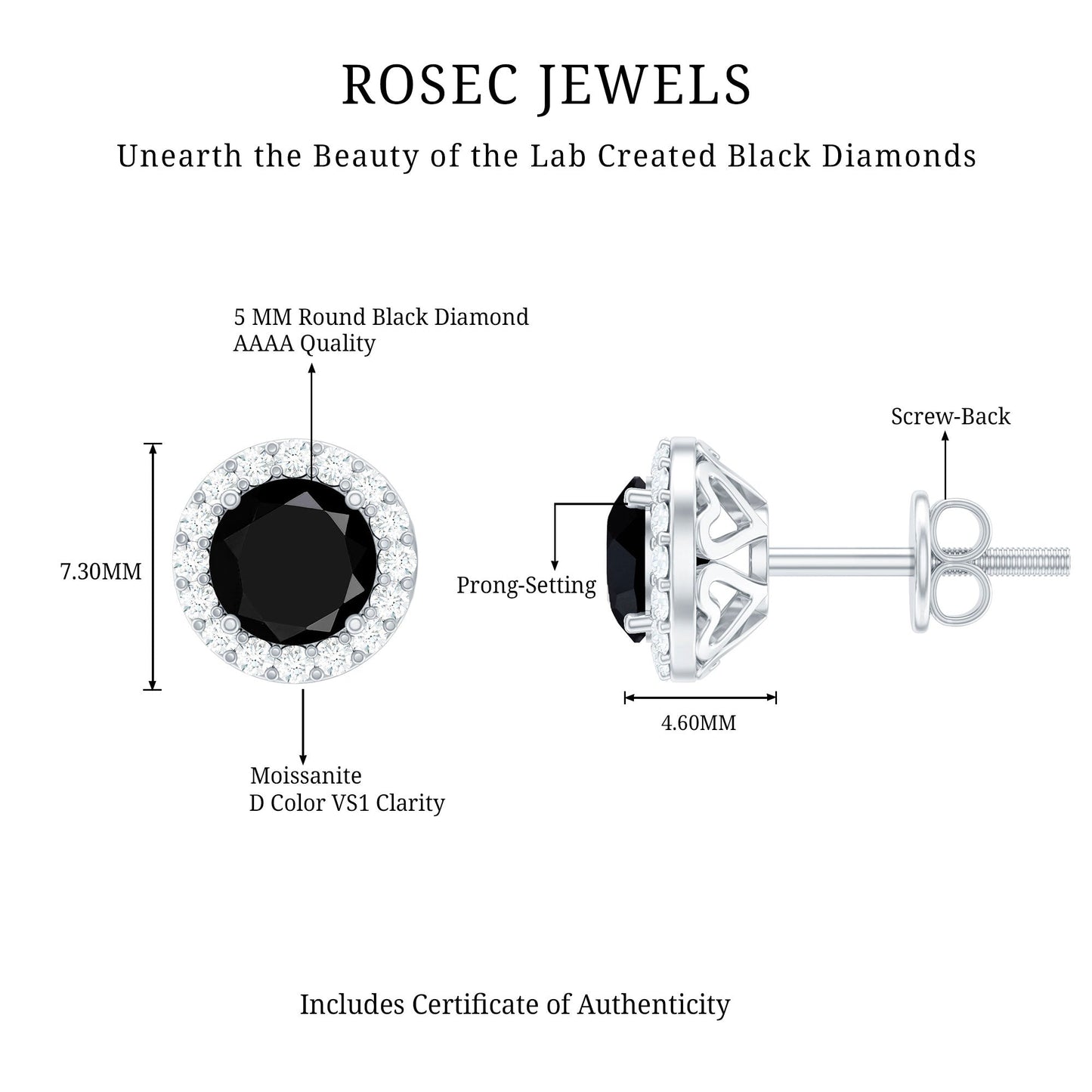 2 CT Created Black Diamond and Moissanite Halo Stud Earrings