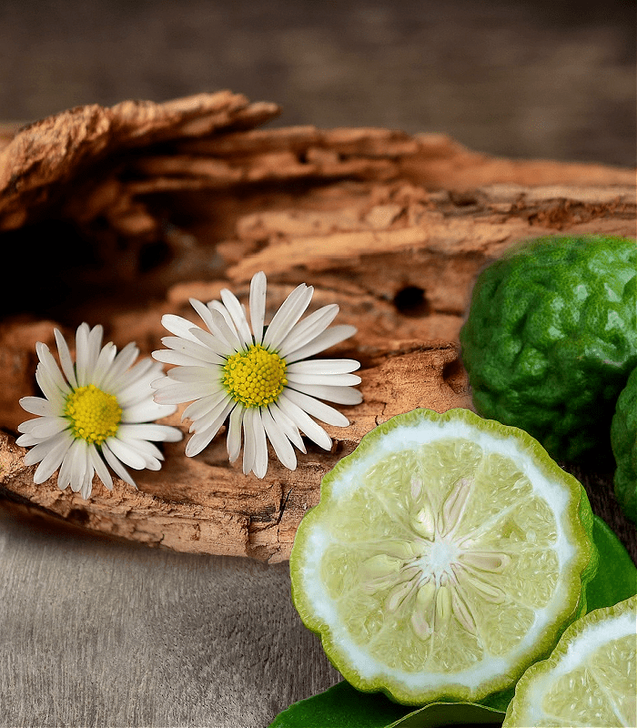 Rosewood & Bergamot - Premium Fragrance Oil