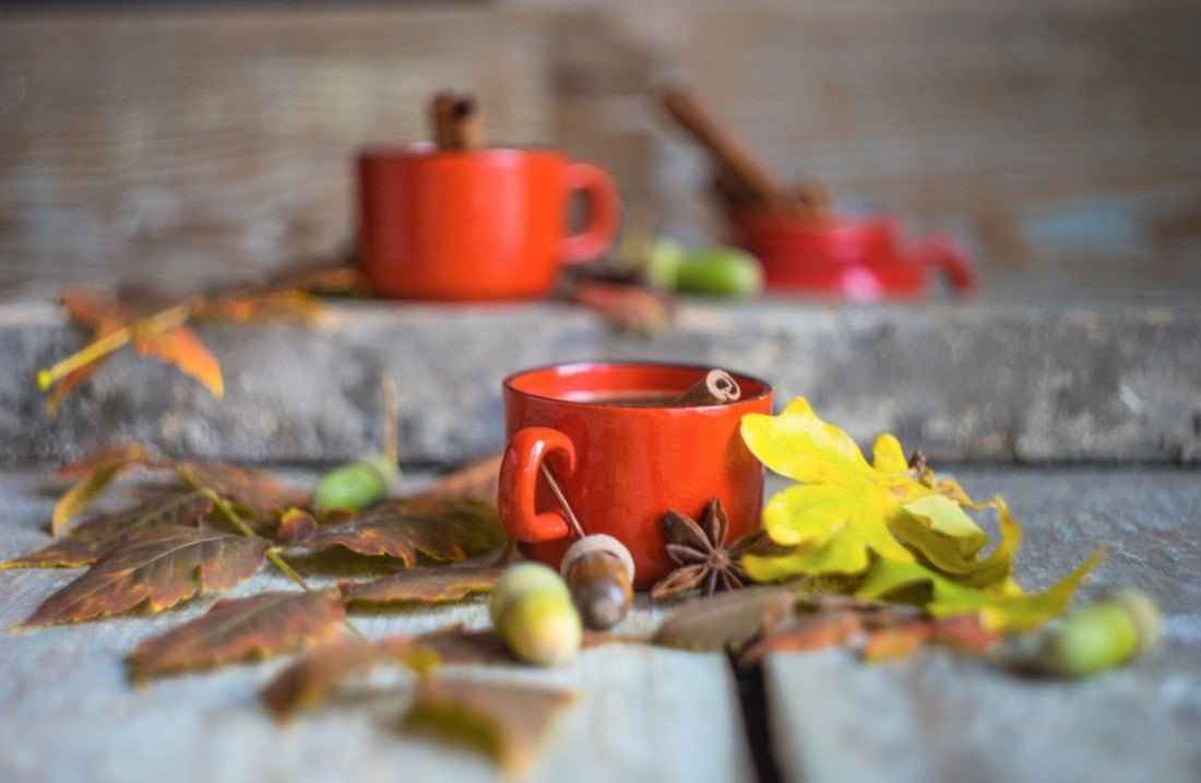 Spiced Red Oak - Premium Fragrance Oil