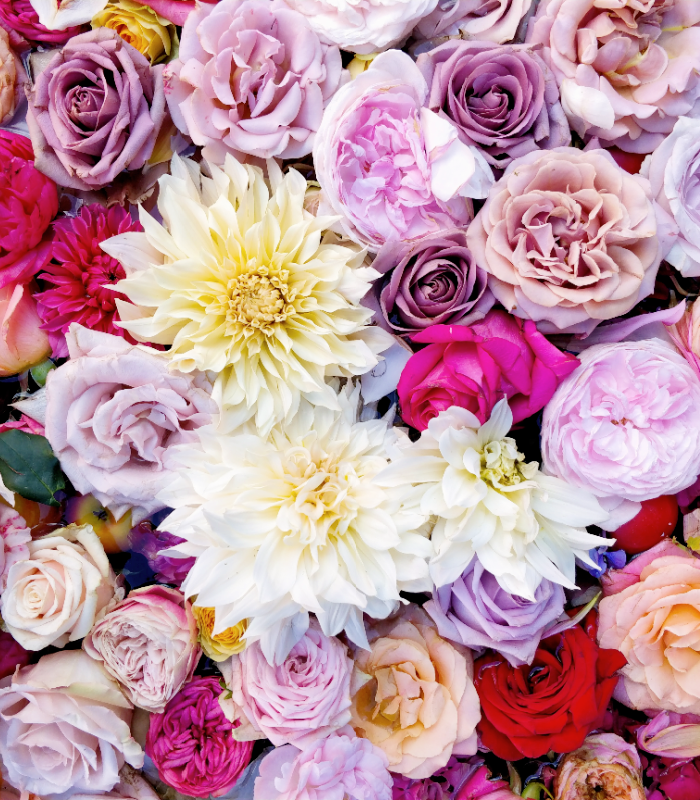Sweet Floral *Discontinued* - Premium Fragrance Oil
