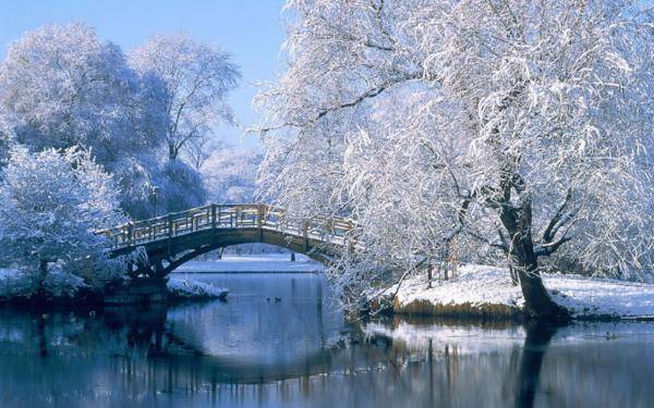 Winter Morning - Premium Fragrance Oil